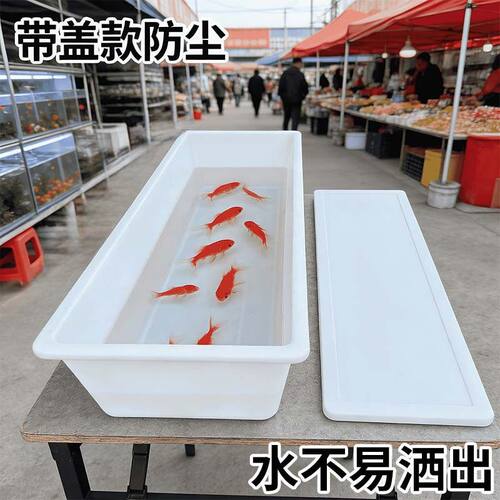 加厚塑料鱼池菜市场摆地摊养鱼箱养殖农用池室外大养鱼池蓄防冻