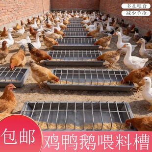 新款鸡鸭鹅通用喂鸡食槽聚丙烯喂鸡食槽长方形喂鸡食槽加厚食槽
