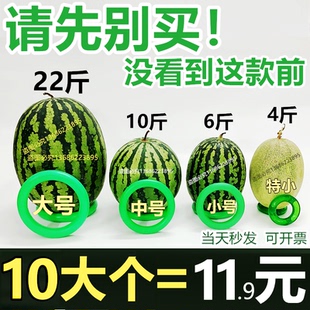 西瓜座固定圈放西瓜圈神器圈环篮球摆放防滑圈塑料圈榴莲底托垫圈