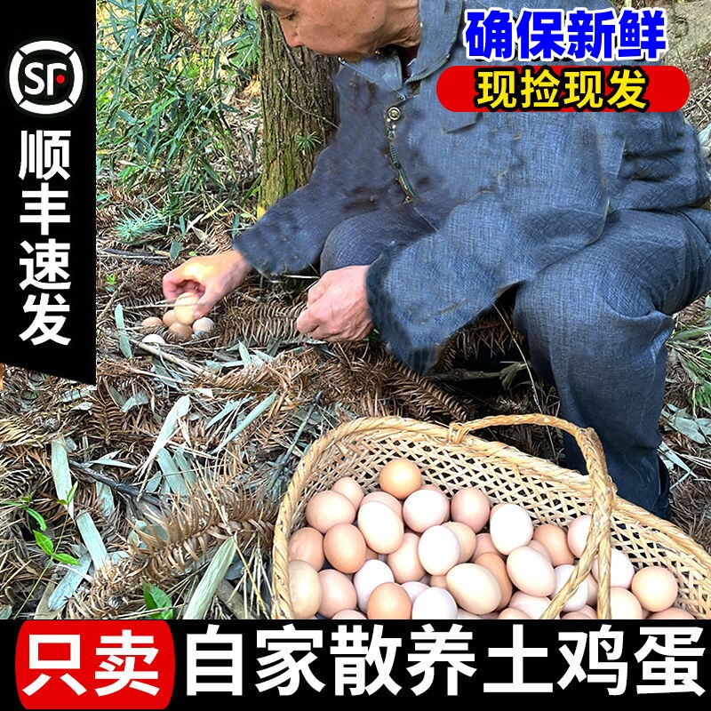 顺丰京东包邮散养土鸡蛋现捡现发