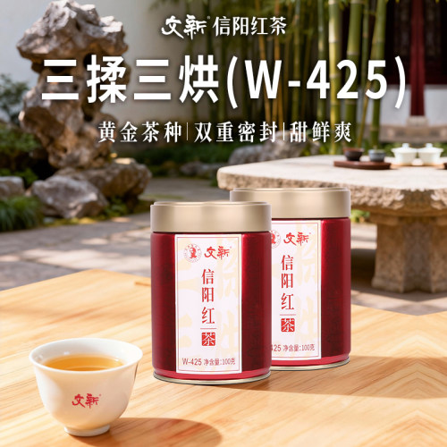文新信阳红茶密封罐100g*2罐