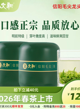 春茶上市文新信阳毛尖绿茶茶叶2026新茶明前特级嫩芽叶50g*2罐