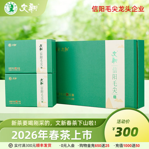 文新信阳毛尖雨前特级礼盒250g