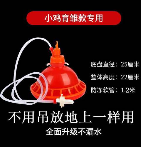 加厚雏鸡苗小鸡鸭自动养殖设备