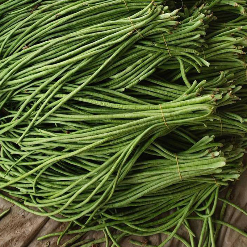 新鲜长豆角 新鲜豇豆农家自种湖南当季时令蔬菜 现摘现发包邮