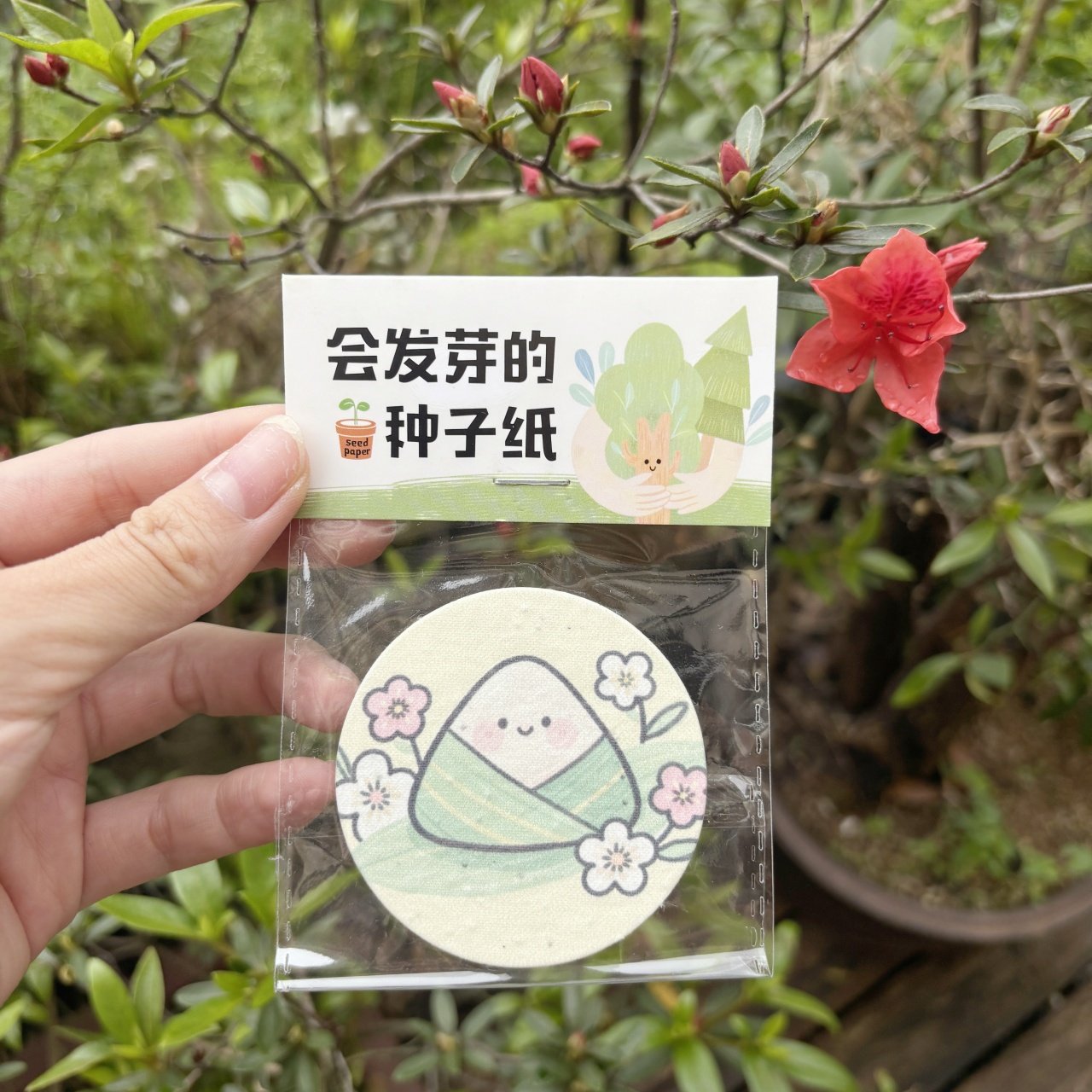 端午节粽子卡片种子纸 单独包装发芽纸 创意贺卡卡片定制文创周边