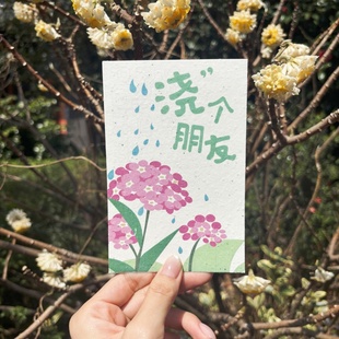 浇个朋友种子纸明信片自制环保发芽手工纸来图定制创意原创礼物