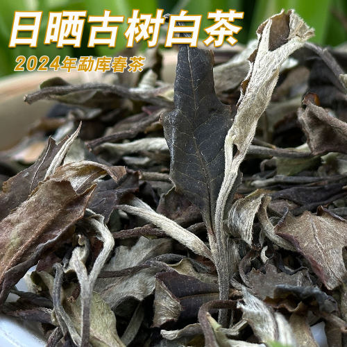 冰岛茶区陈年花香日晒白茶更香甜