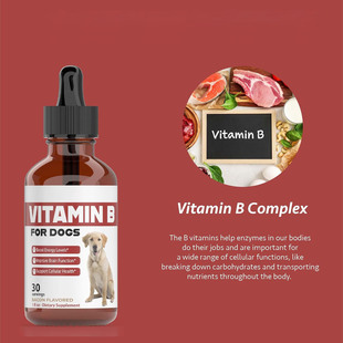 跨境热销狗用维生素B b vitamins for dogs