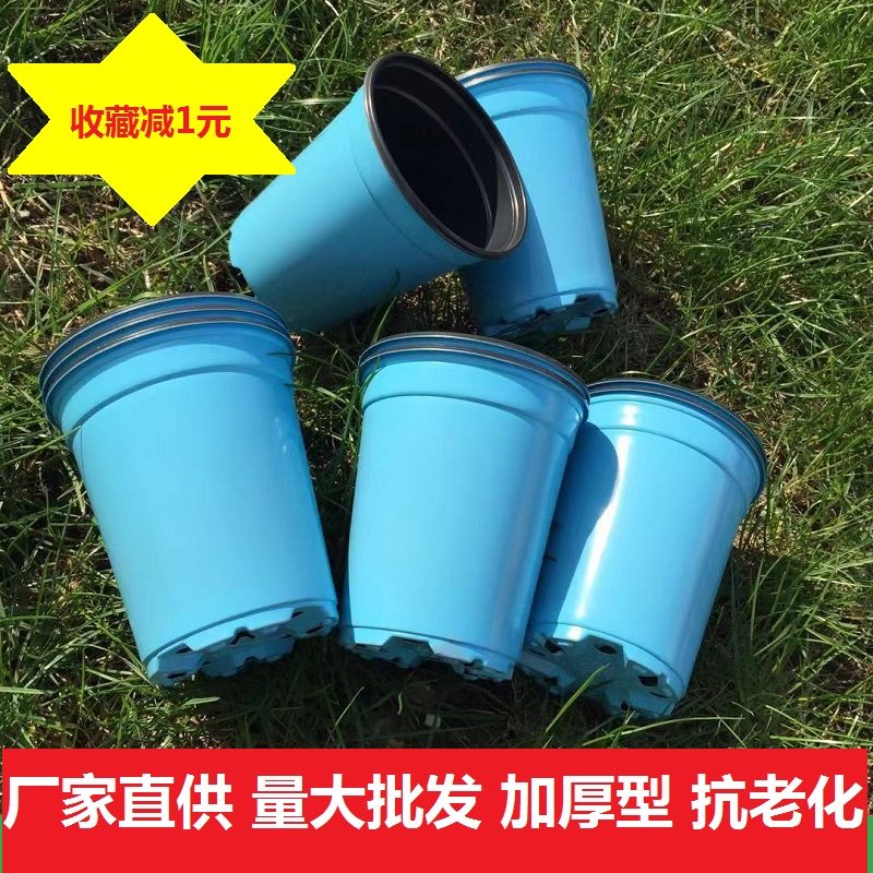 育苗盘双色盆10厘米加深加厚月季扦插盆假植盆小黑方塑料花盆托盘,鲜花速递/花卉仿真/绿植园艺,花盆,淘宝优惠券,粉丝福利购,淘宝优惠卷