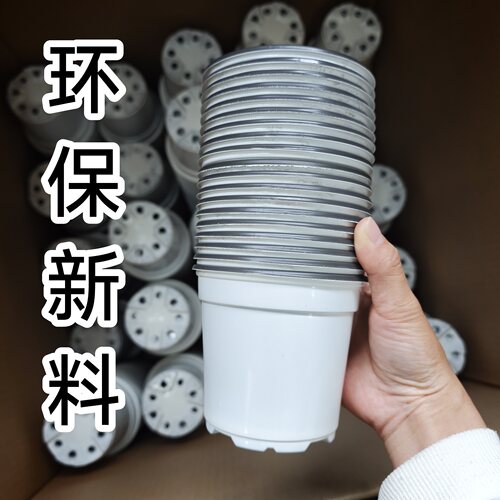 加厚双色塑料月季园艺基地扦插