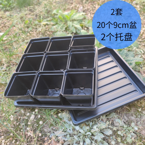 多肉育苗播种扦插方杯托盘花盆假植扦插育苗杯盘穴盘一次性塑料盆