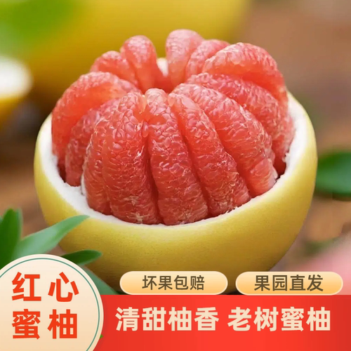 正宗红心蜜柚福建漳州果园直达