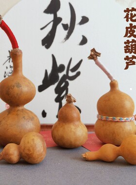 包邮一物一图花皮花叶病葫芦文玩手捻小美国草里金小胖墩葫芦蚂蚁