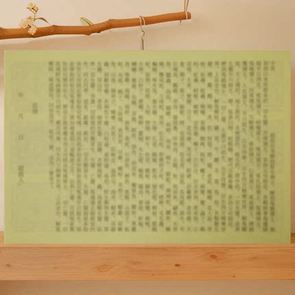 2025新款烧解脱神器纸品动物牌位文疏祭祀用品速达