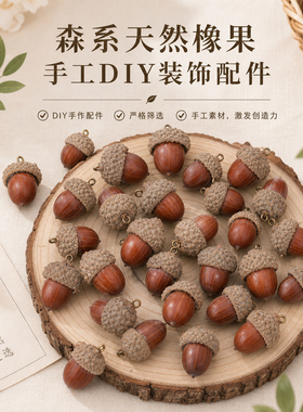 风干天然橡果DIY配件森系果实手