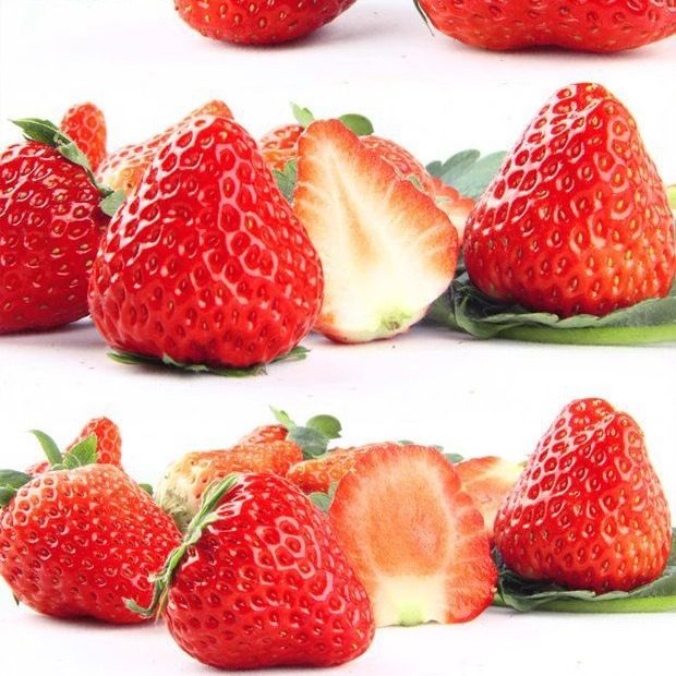南京溧水傅家边红颜奶油草莓新鲜超甜牛奶巧克力孕妇高档水果三斤