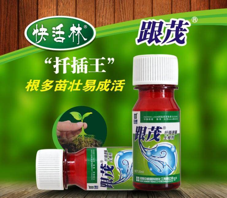 快活林植物扦插生根剂