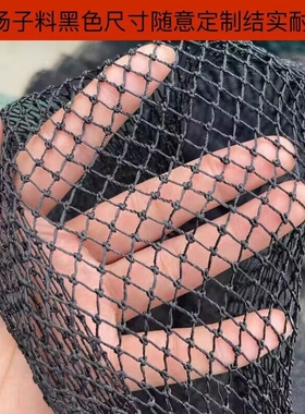 渔网片定制杨子料黑色有结网鱼塘拉网抬网箱隔断网养殖网养鸡鸭网