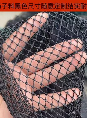 渔网聚乙烯杨子料黑色有结网鱼塘拉网抬网箱隔断网养殖网养鸡鸭网