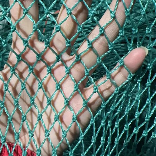 定制养殖网鱼网片爬藤围栏防鸟网