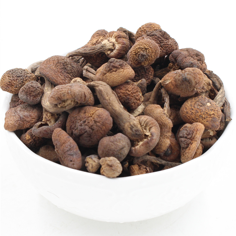 лõ ¶«±±ÌزúÒ°Éúé»Ä¢¹½Ð¡¼¦ìÀÄ¢¹½ÎÞ¸ù¸É»õÏã¹½é»Ä¢¶¡250g°üÓÊ