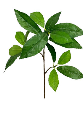 仿真植物假叶树3叉枝青杠叶栎树叶青岗叶灌木背景博物馆直销装饰