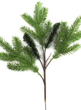 仿真植物五叉冷杉云杉水杉落叶松