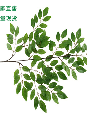 仿真豆花叶红杆豆叶子室内装饰