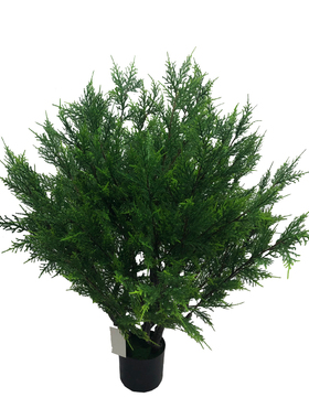 仿真植物盆栽柏树工程造景
