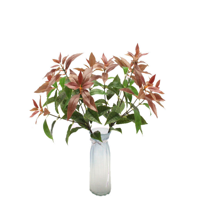 仿真植物石楠叶小五叉枝构叶桂花叶枇杷叶橄榄果叶树装饰