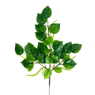 仿真植物水青杠叶绿植假树叶园林工程造景假水青冈树叶厂家直销