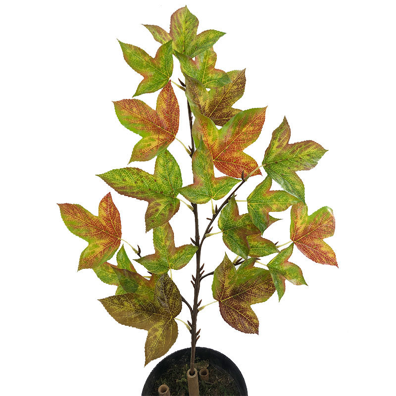 仿真枫叶树三角枫树叶春秋色diy背景枫杨叶子工程装饰厂家直销