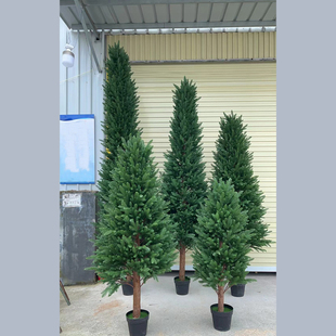 仿真盆景冷杉树绿植大型杉树室内外装饰整棵大树造景装饰假杉树叶