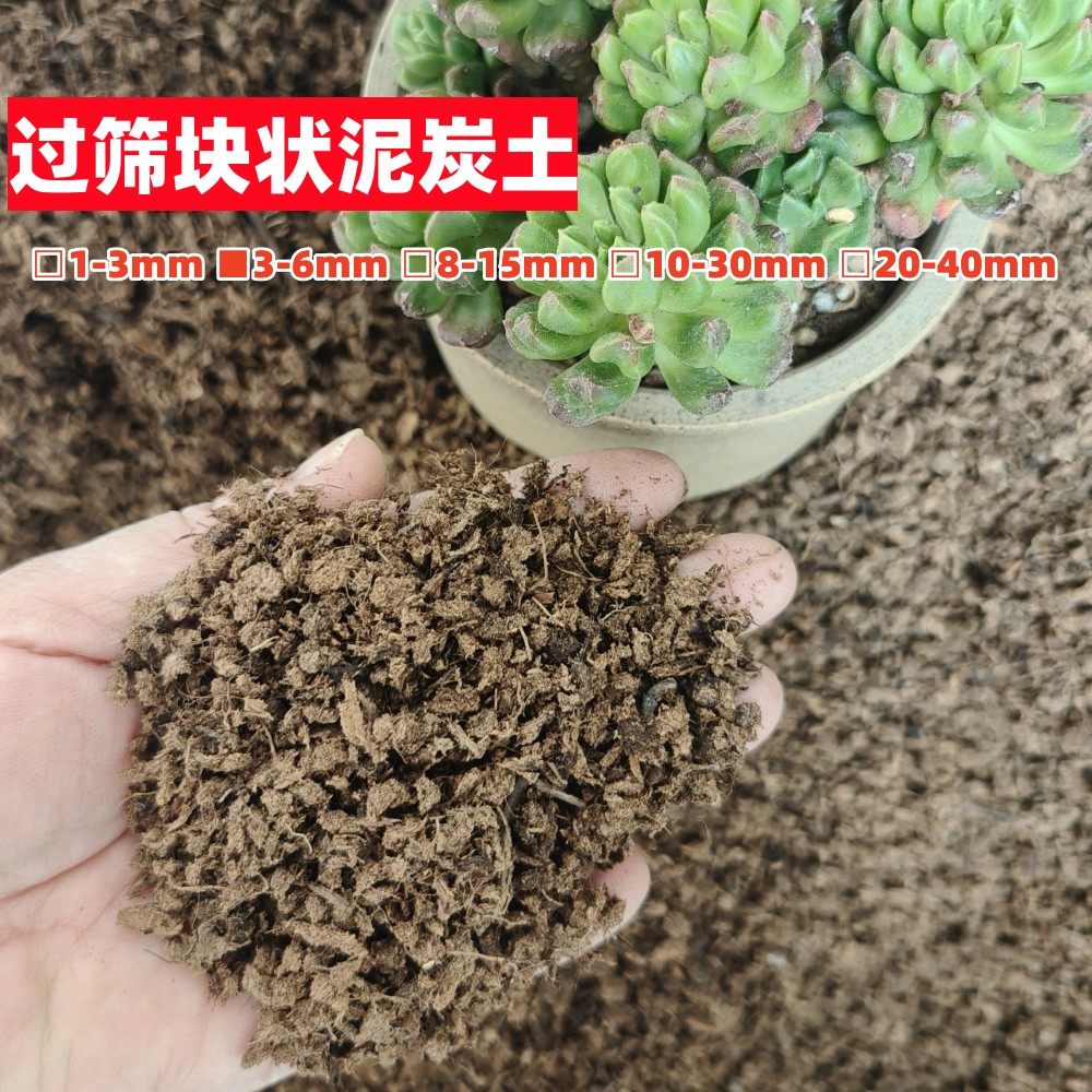 过筛块状泥炭土多肉盆景兰花土