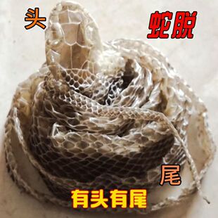 自然脱落一整条有头有尾蛇蜕皮蛇退龙衣蛇皮长虫皮青龙衣蛇壳