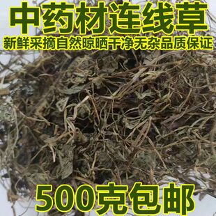 中药材 连钱草 遍地香 过墙风 铜钱草 透骨消 新货500克 包邮