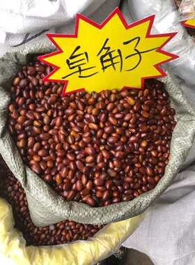 中药 皂角子 皂角籽 皂角核 皂角仁 皂荚籽 皂荚子 皂角豆500g