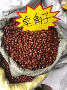 中药 皂角子 皂角籽 皂角核 皂角仁 皂荚籽 皂荚子 皂角豆500g