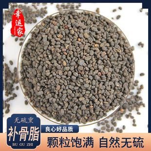 补骨脂500g野生胡韭子正品破故纸黑故子补骨脂粉盐炒补骨脂中药材