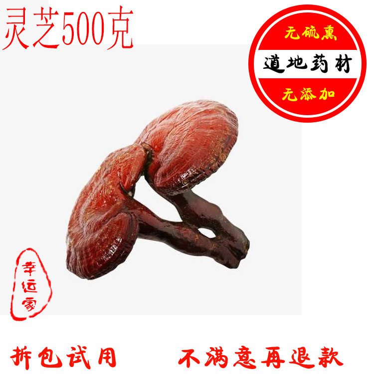 灵芝正品长白山整支灵芝赤灵芝紫灵芝500g林芝泡灵芝茶可切片