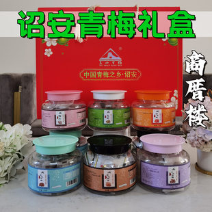 诏安青梅伴手礼年货特产红星梅片酸梅梅饼零食礼盒装6种口味包邮
