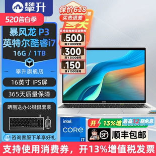 攀升兄弟 MAXBOOK P1/P1 Pro电脑轻薄16英寸电脑笔记本游戏酷睿i7