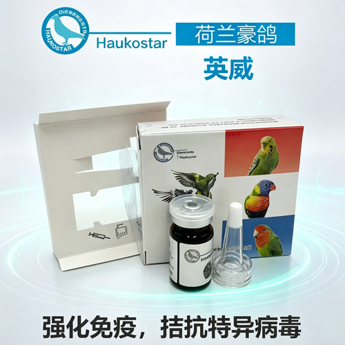 鹦鹉鹦鹉病毒pbfd荷兰豪鸽英威