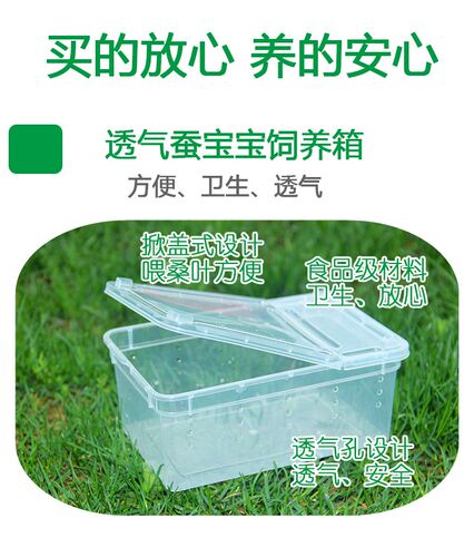 2019年春蚕宝宝1-5龄活蚕发货桑蚕,量多可优惠，20条起白色。