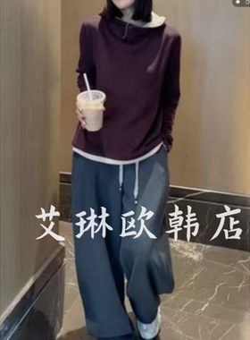 12.4~81320冬装新款连帽休闲百搭双面德绒打底衫长袖T恤上衣女