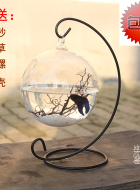 悬挂铁架鱼缸水培玻璃婚庆吊瓶