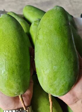 芒果大青芒果青皮金煌芒新鲜水果当季大芒果 三个研究生的芒果店