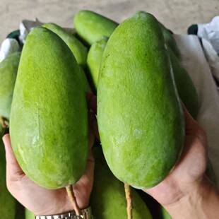 三个研究生 芒果店 大芒果 芒果大青芒果青皮金煌芒新鲜水果当季