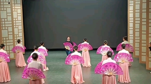 朝鲜族舞蹈扇子韩国舞蹈扇子透明纱跳舞扇子北舞十三级考级扇子新